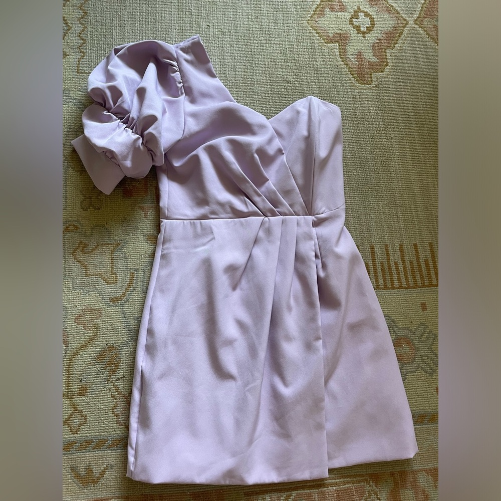 Lavender Fabrik mini dress NEVER WORN WITH TAGS